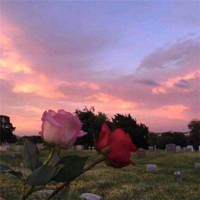 王牌高校校花写真解锁版手游下载