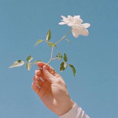 九游王者天下客户端下载